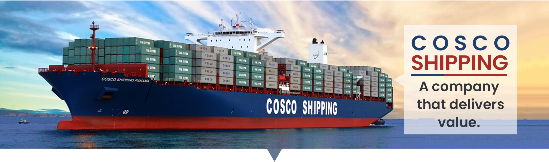 Cosco shipping, a company that delivers value FreightBro